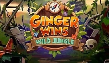 Ginger Wins